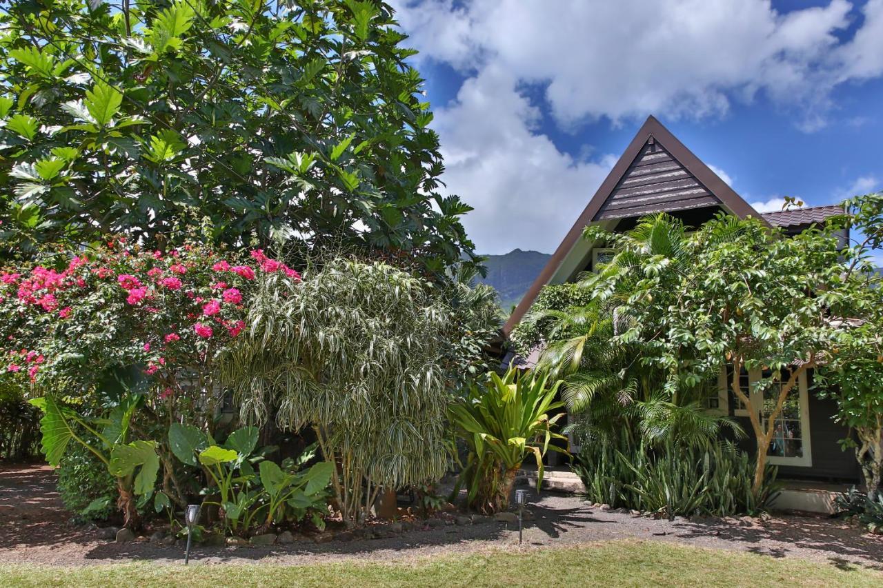 Fare Haurevaiti Moorea Paopao 외부 사진
