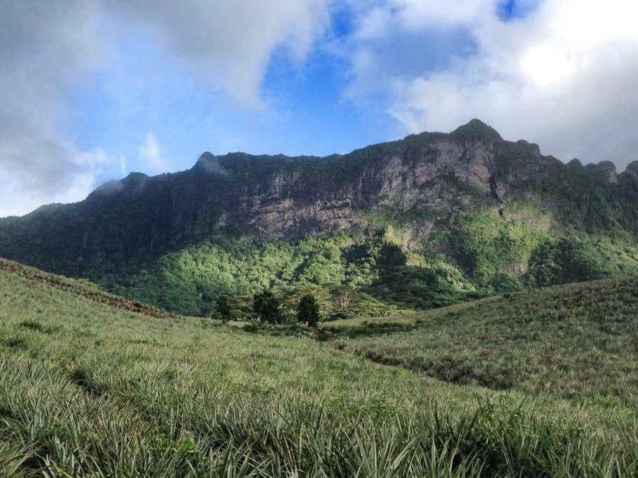 Fare Haurevaiti Moorea Paopao 외부 사진