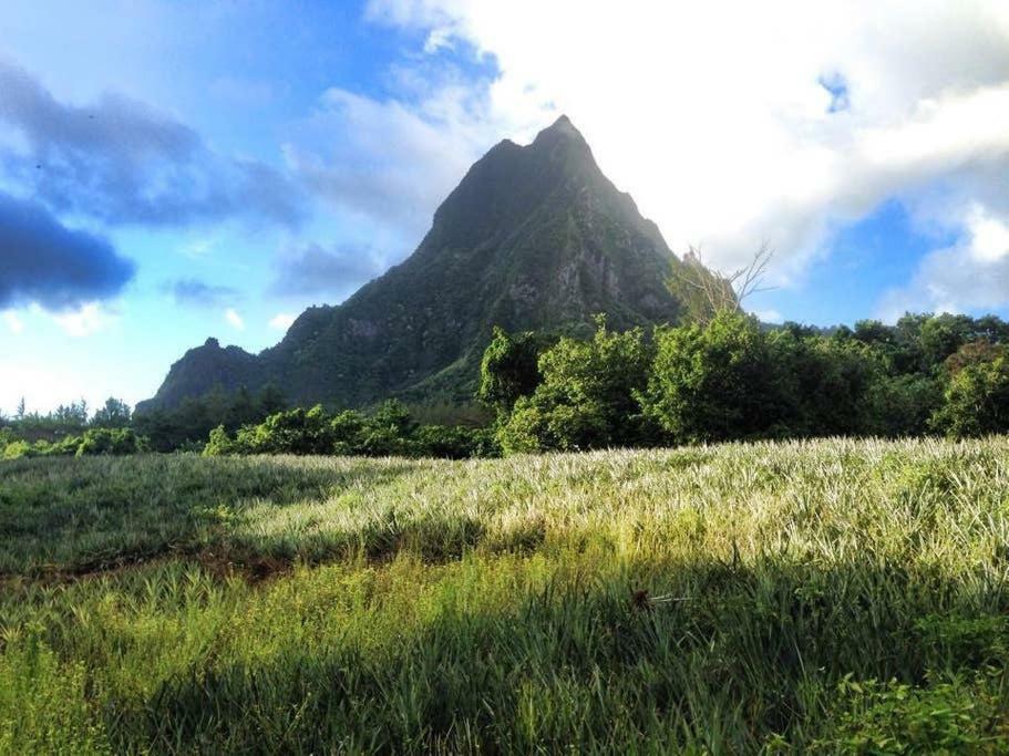 Fare Haurevaiti Moorea Paopao 외부 사진